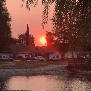 Meet your Posher, Claudia